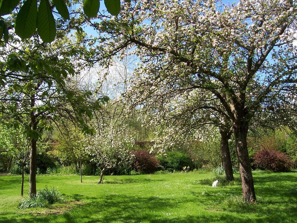 Le Clos Du Vivier Bed & Breakfast Valmont  Bagian luar foto